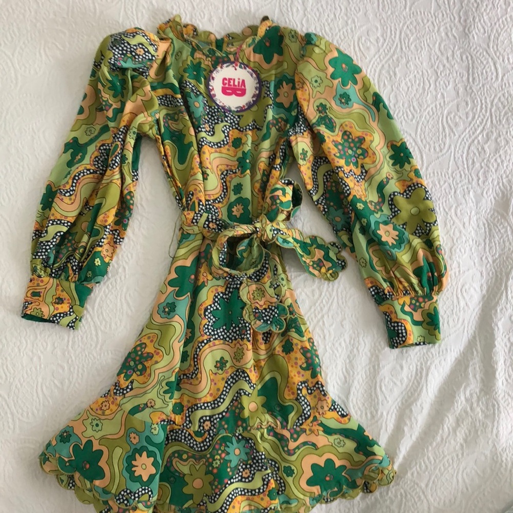 Designer Dress by Celia B size small